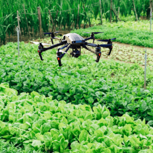 Outils d'agriculture de précision