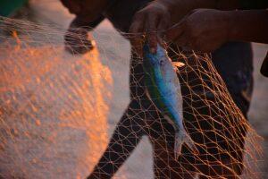 Créer une entreprise de pêche au Maroc : Guide complet